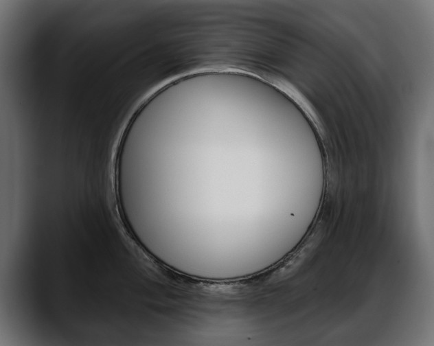 X0000088651004200705250938