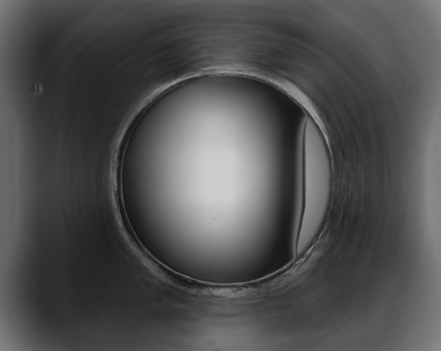 X0000088651005200705250938