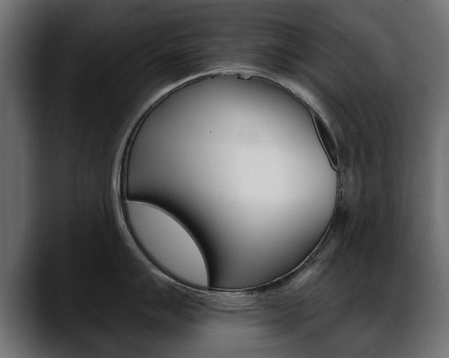 X0000088651007200705250938