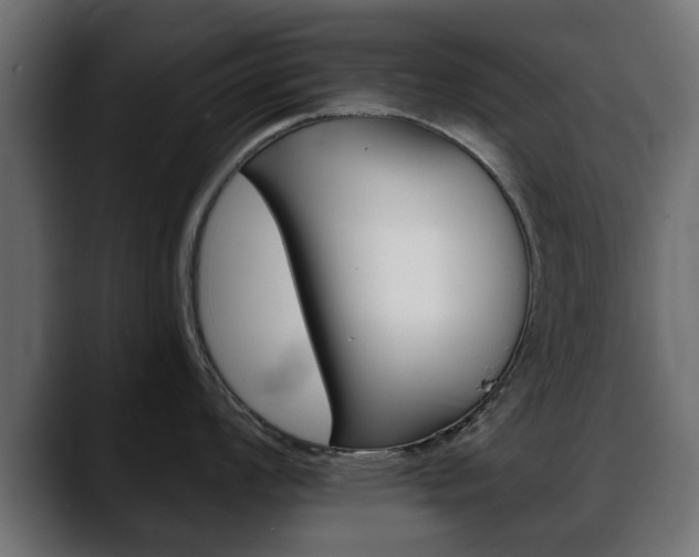 X0000088651008200705250938