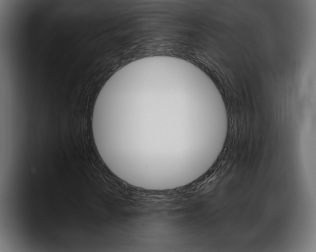 X0000088651010200705250937