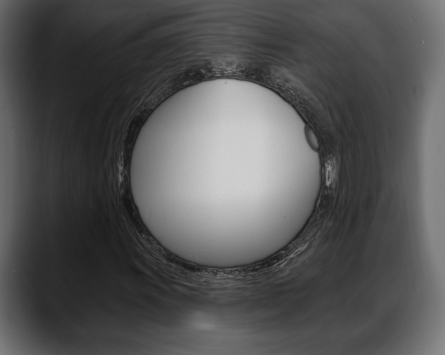 X0000088651011200705250937