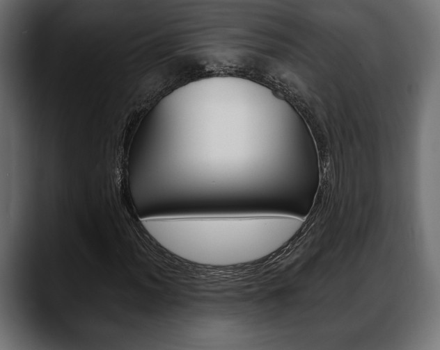 X0000088651012200705250937
