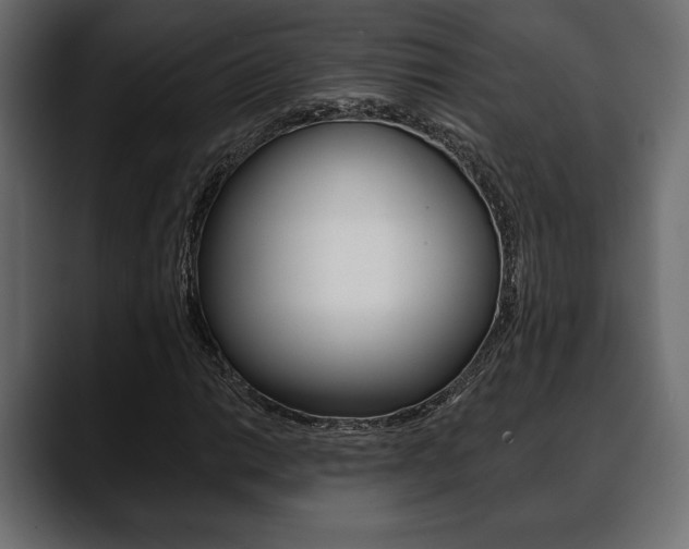 X0000088651014200705250937