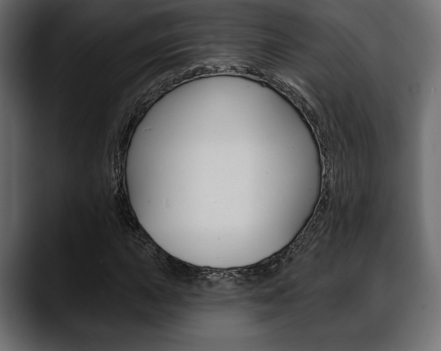 X0000088651015200705250937