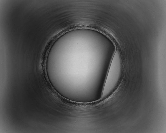 X0000088651018200705250937
