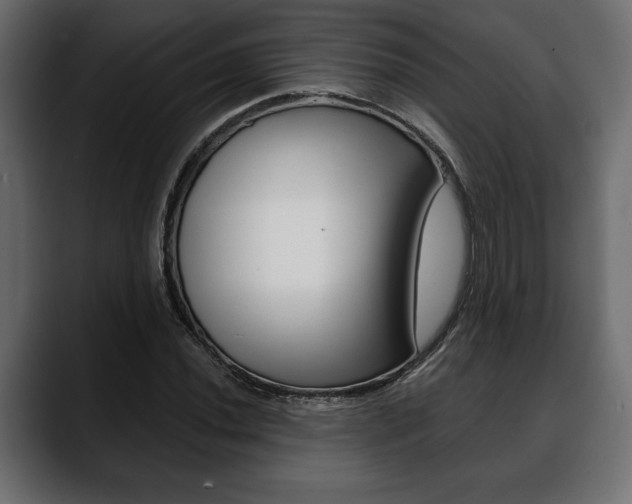 X0000088651020200705250937