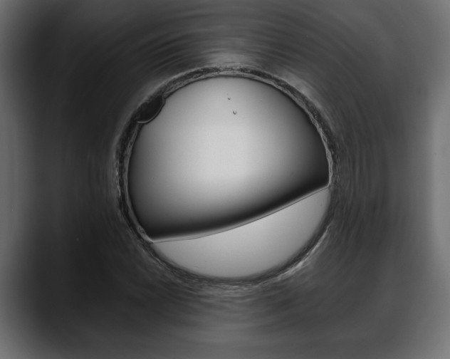 X0000088651022200705250937