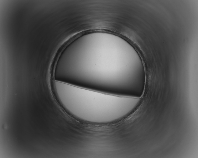 X0000088651024200705250937
