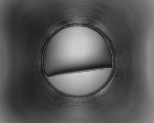 X0000088651025200705250937