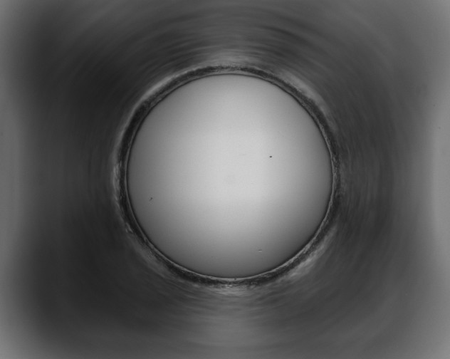 X0000088651029200705250937