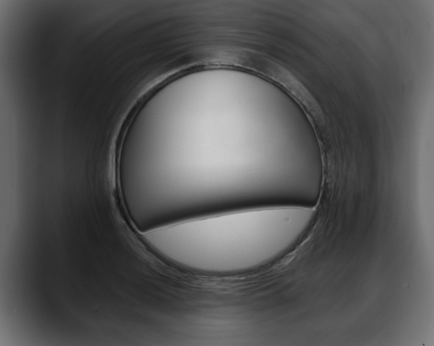 X0000088651036200705250938