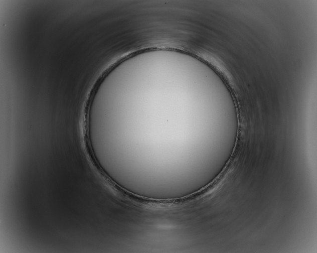 X0000088651040200705250938