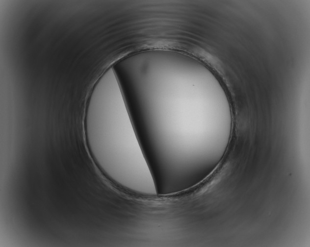 X0000088651041200705250938