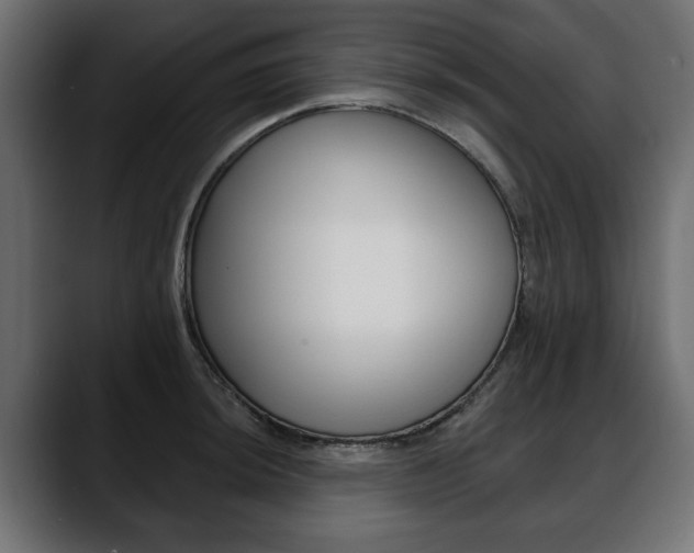 X0000088651044200705250938
