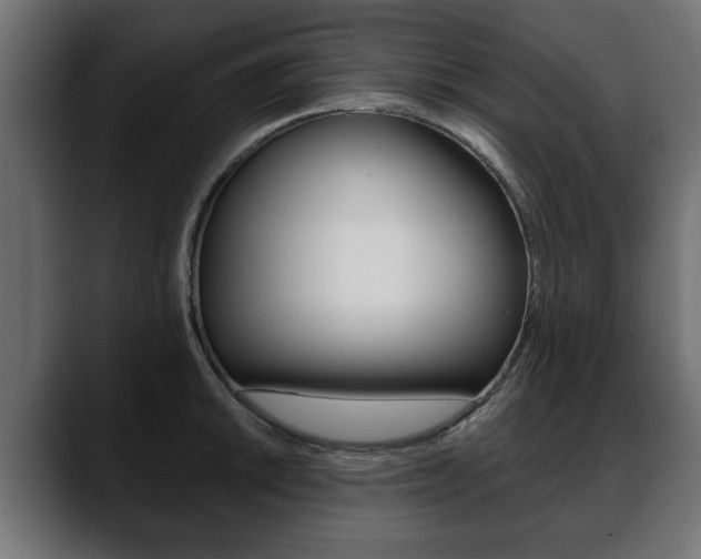 X0000088651046200705250938