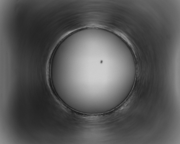X0000088651048200705250938