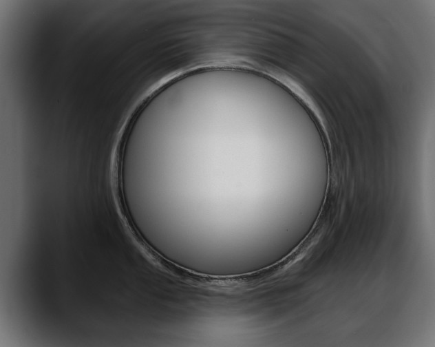 X0000088651053200705250938