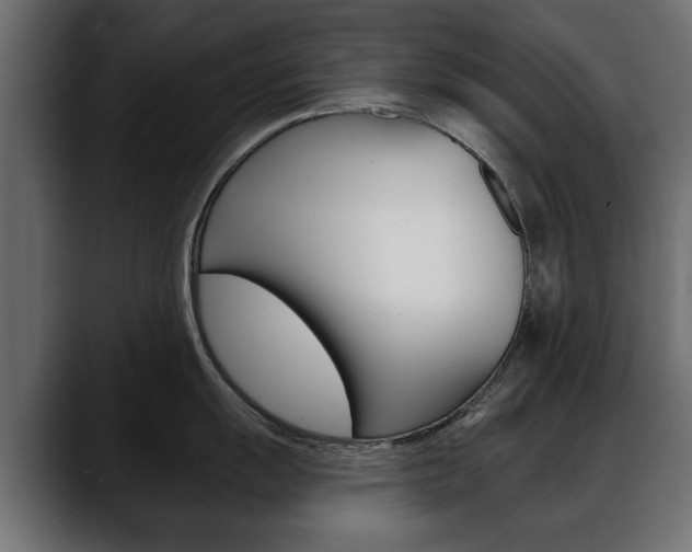 X0000088651055200705250938