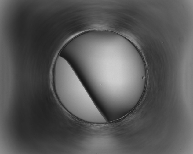 X0000088651056200705250938