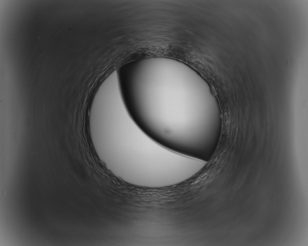 X0000088651057200705250937