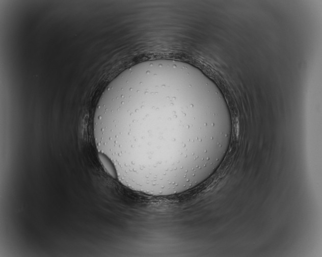 X0000088651059200705250937