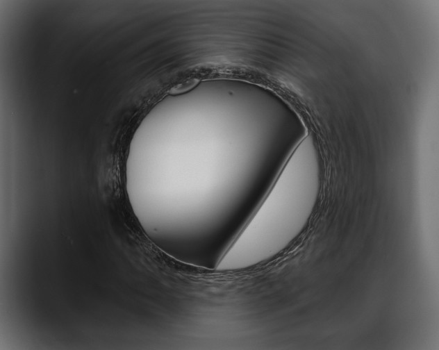 X0000088651062200705250937