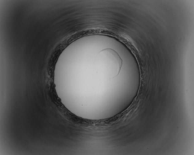 X0000088651064200705250937