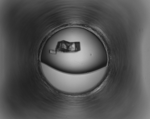 X0000088651065200705250937