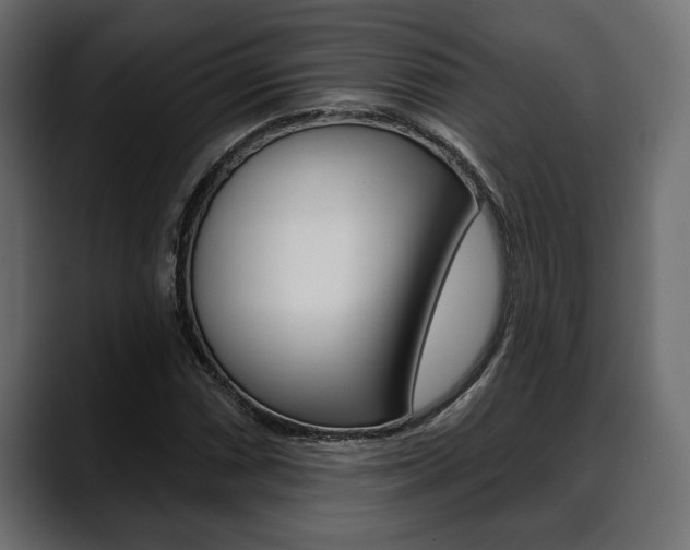 X0000088651066200705250937