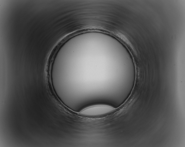 X0000088651068200705250937