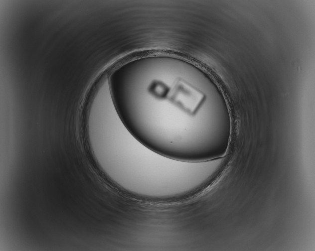 X0000088651069200705250937