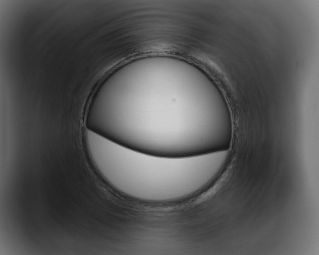 X0000088651073200705250937