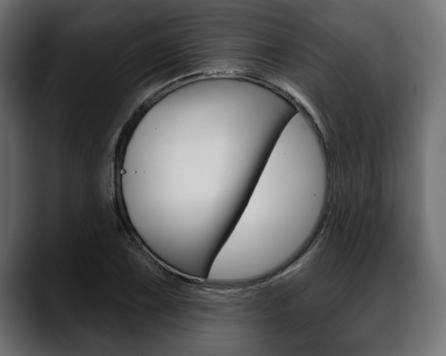 X0000088651075200705250937