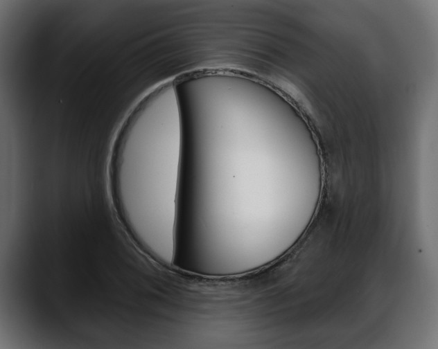 X0000088651076200705250937