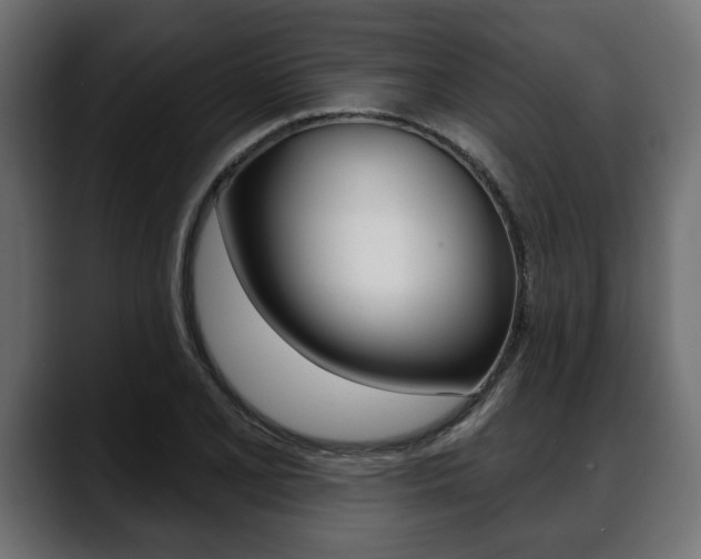X0000088651077200705250937