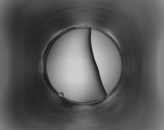 X0000088651079200705250937