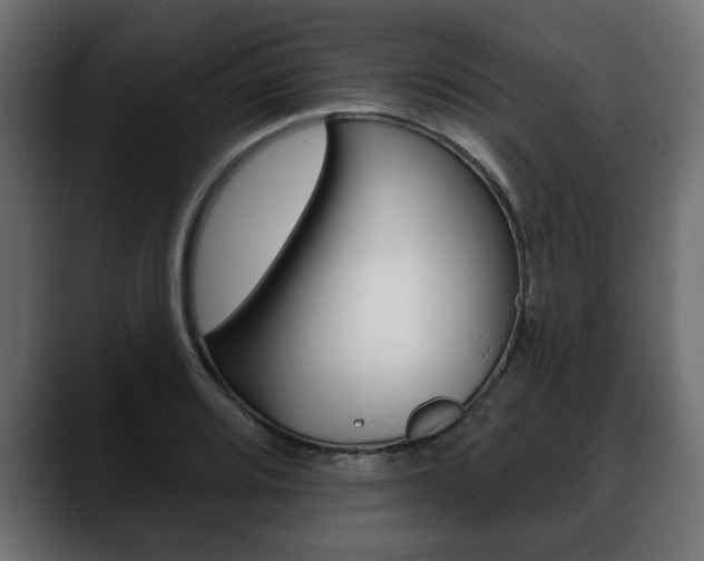 X0000088651080200705250937
