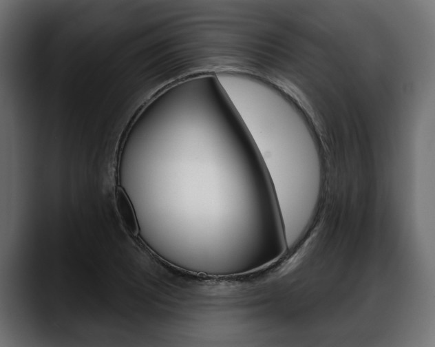 X0000088651081200705250937