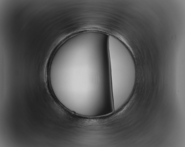 X0000088651082200705250937
