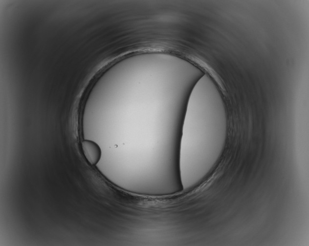 X0000088651083200705250937