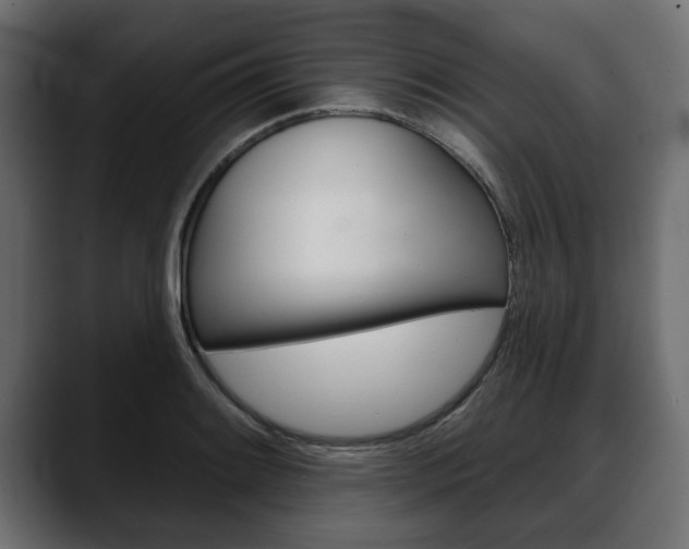X0000088651084200705250937