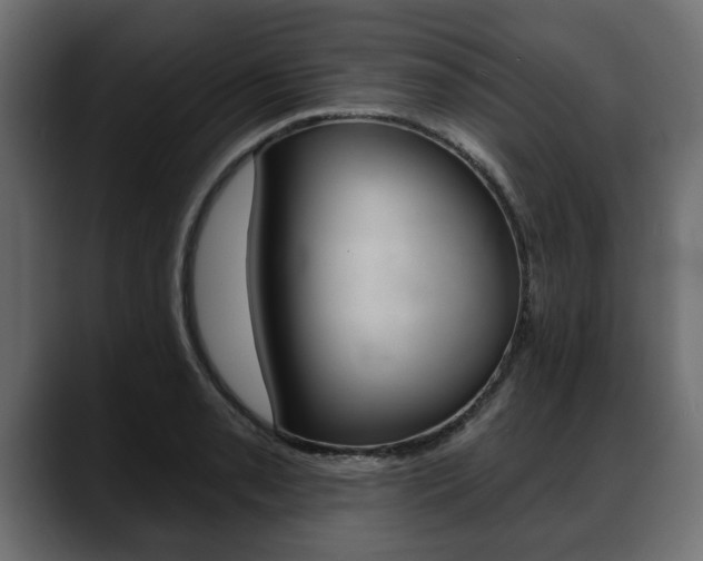 X0000088651085200705250937