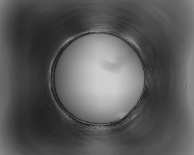 X0000088651087200705250937