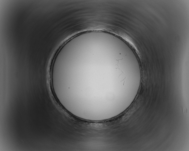 X0000088651088200705250937