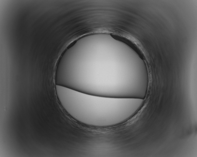 X0000088651097200705250937