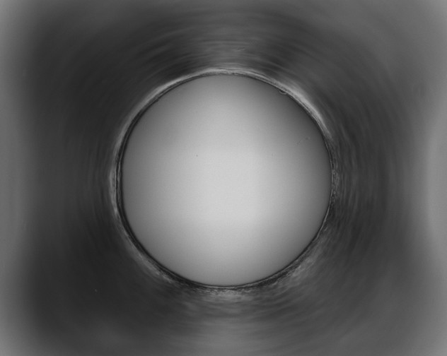 X0000088651100200705250937