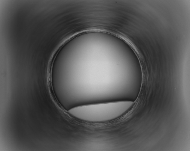 X0000088651101200705250937