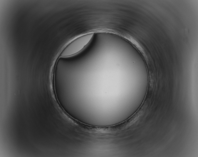 X0000088651102200705250937