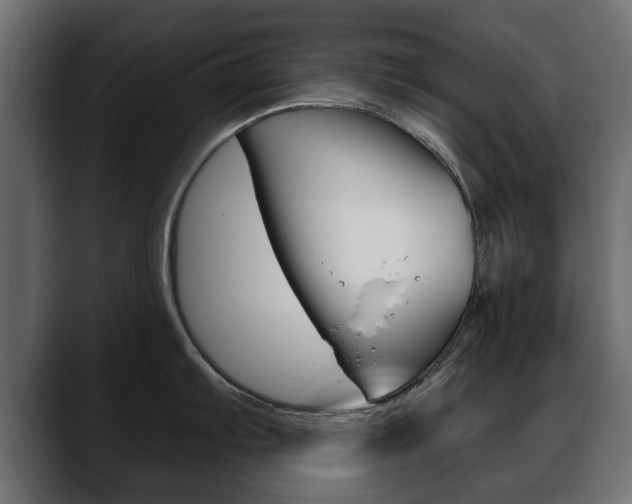 X0000088651103200705250937
